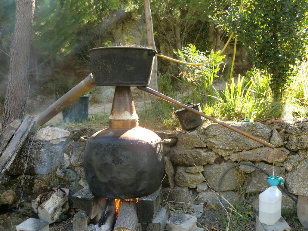 Quinta Do Circo - Serra Da Estrela - Turismo Rural Cortes do Meio Eksteriør bilde